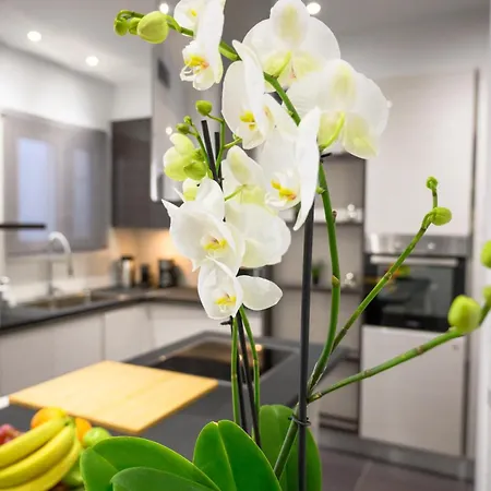 Acropolis View Deluxe Penthouse & Luxury * אתונה