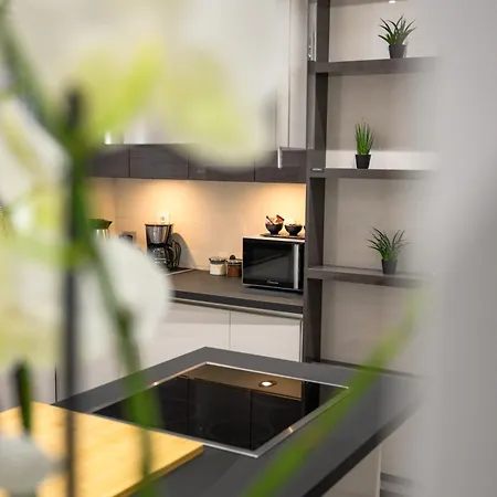 Acropolis View Deluxe Penthouse & Luxury אתונה
